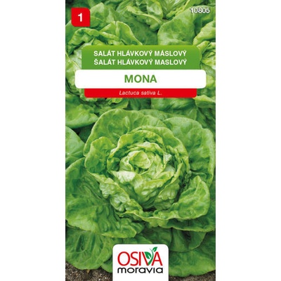 Semínka Salát hlávkový máslový Mona (Lactuca sativa L.)