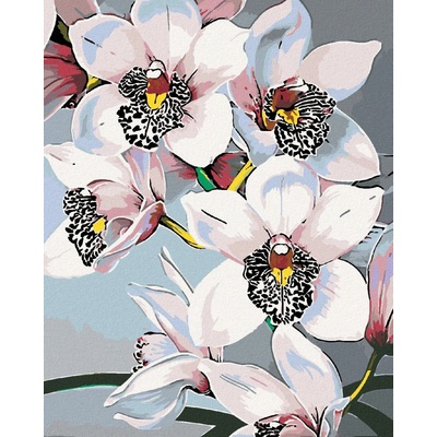 Zuty Malování podle číselNádherné orchideje 80 x 100 cm bez rámu a bez vypnutí plátna 8596530018421