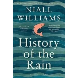 History of the Rain | Niall Williams (2015)