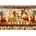 Bluebird Puzzle - Puzzle Egyptian 1000 - 1 000 piese