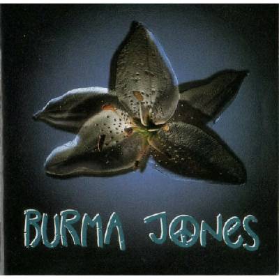 Burma Jones, Slepí ptáci