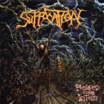 Suffocation Pierced From Within Picture LP