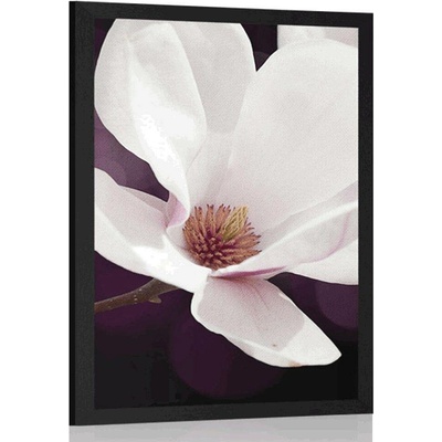 Plakát květ magnólie na abstraktním pozadí - 30x45 white