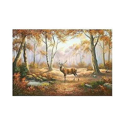 Jelen 1 deska 90x60