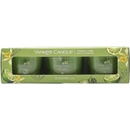 YANKEE CANDLE Vanilla Lime 3× 37 g