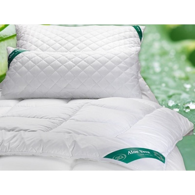 2G Lipov súprava Aloe Vera Extra hřejivá 70x90 135x200