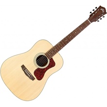 Guild D-240E