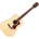 Guild D-240E