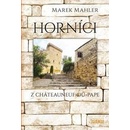 Horníci