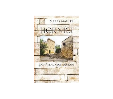 Horníci