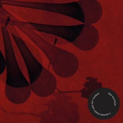Tyshawn Sorey, Pat Thomas - Red Sulphur CD