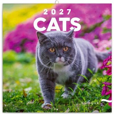 Poznámkový Kočky nástěnný 2027
