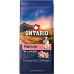 ONTARIO Puppy Large Chicken & Sweet Potatoes 12 кг