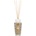 Baobab Collection My First Baobab Brussels Ароматен дифузер, 250 мл (DIF250MBRU)