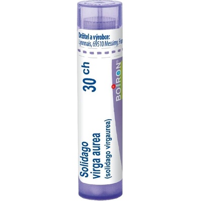 SOLIDAGO VIRGA AUREA POR 30CH GRA 4G
