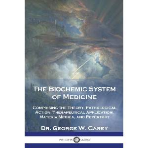 The Biochemic System of Medicine | Dr. George W. Carey (ISBN: 9781789876420)