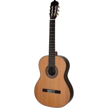 Gitara Dowina CL999