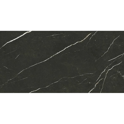 EBS Elit 60 x 120 cm black matná 1,44m²