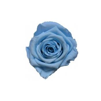 Darčeková stabilizovaná ruža - svetlo modrá