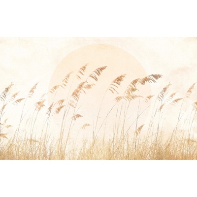 Komar Vliesová fototapeta Drift Dune Grass rozměry 400 x 250 cm