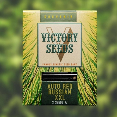 Victory Seeds AUTO Red Russian XXL semena neobsahují THC 5 ks