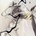 AUTECHRE: DRAFT 7.30 CD