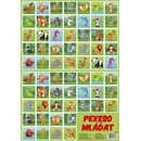 Pexeso Mláďata
