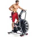 Schwinn Airdyne AD8