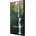 Hisense 55WH80F