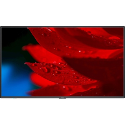 NEC MA491