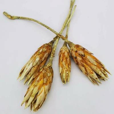 Repens frosted yellow small - 30 ks