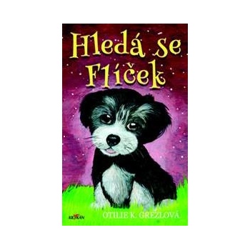 Hledá se Flíček