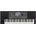 Korg Pa600