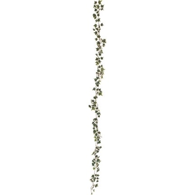 Girlanda z Holandského břečťanu, 180 cm