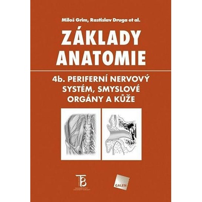 Základy anatomie 4b - Periferní nervový systém, smyslové orgány a kůže - Grim Miloš, Druga Rastislav