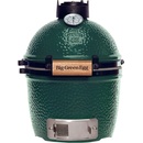 Big Green Egg Mini