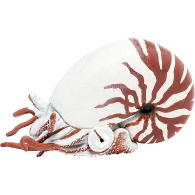 Papo Фигурка Papo Marine Life - Наутилус (56061)