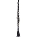Stagg WS CL210S