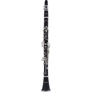 Stagg WS CL210S