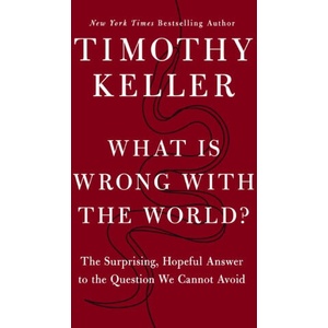 What is Wrong with the World? (ISBN: 9781399829649)