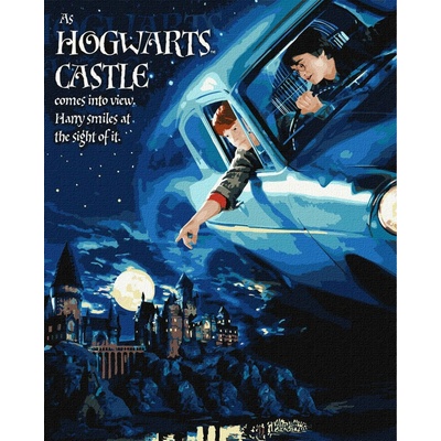 Ideyka Ideyka Malování podle čísel Harry Potter Let autem metalické barvy 40 x 50 cm
