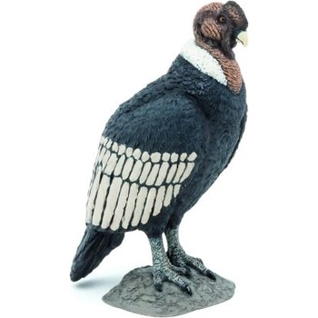 Papo Фигурка за колекциониране - Бял кондор - Papo (50293)