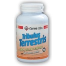 Carne Labs Tribulus Terrestris + Zinek Selen Chrom 120 tablet