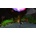 Gnome Light