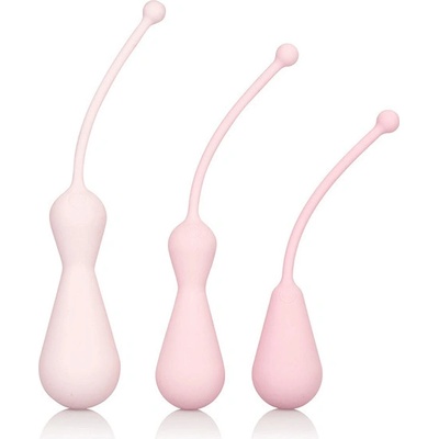 Inspire Weighted Kegel Training Kit