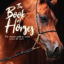 The Book of Horses: The Ultimate Guide to Horses Around the World Books Mortimer Children'sPaperback