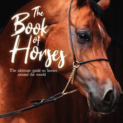 The Book of Horses: The Ultimate Guide to Horses Around the World Books Mortimer Children'sPaperback