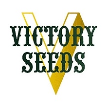 Victory Seeds AUTO Parmesan semena neobsahují THC 10 ks