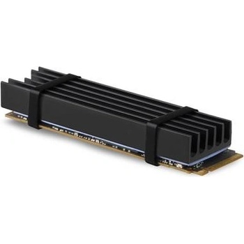 Axagon CLR-M2L10