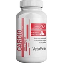 VetaPro Cardio 60 kapsúl